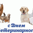 Поздравляем с Днем ветеринарного работника! - Администрация МР