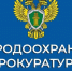 Информация от Костромской природоохранной прокуратуры - Администрация МР