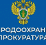 Какая уголовная ответственность установлена за незаконную охоту (браконьерство)? - Администрация МР