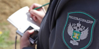 Представитель Управления Россельхознадзора по Владимирской, Костромской и Ивановской областям приняла участие в рабочем совещании по вопросу борьбы с борщевиком Сосновского на территории Костромской области - Администрация МР