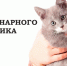 С Днем ветеринарного работника! - Администрация МР