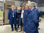 Под крылом успехов: птица счастья в хозяйстве „Нерехтское” обеспечивает регион качественным продуктом