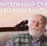 В 2025 году 150 костромичей досрочно вышли на пенсию благодаря длительному стажу - Администрация МР