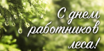 В этом году Костромская телебашня поздравит костромичей с Днем работников леса
