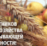 С Днём работника сельского хозяйства и перерабатывающей промышленности! - Администрация МР