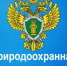 Костромской межрайонной природоохранной прокуратурой проведена проверка исполнения законодательства в сфере охраны атмосферного воздуха - Администрация МР