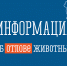 По обращению с животными без владельцев (отлов) - Администрация МР