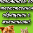 Памятка об ответственном обращении с животными и соблюдении общих требований  к содержанию животных, в том числе к их выгулу - Администрация МР